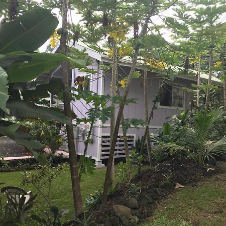 The Dolphin Cottage At Kehena Beach ภายนอก รูปภาพ