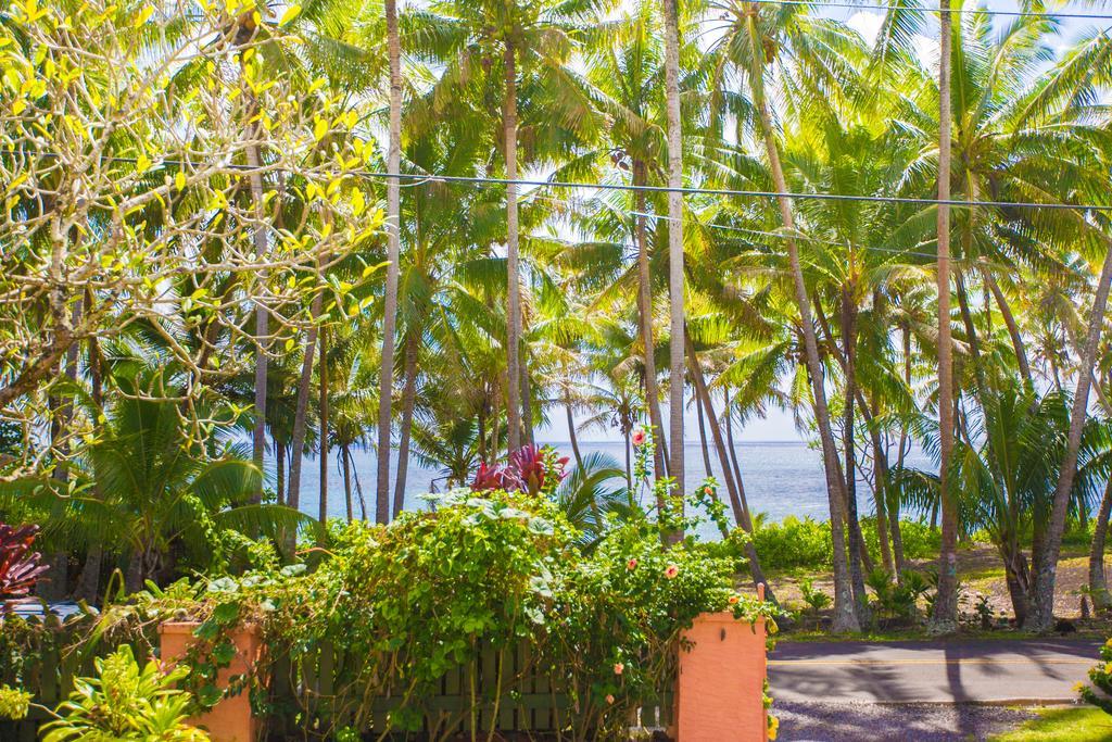 The Dolphin Cottage At Kehena Beach ภายนอก รูปภาพ