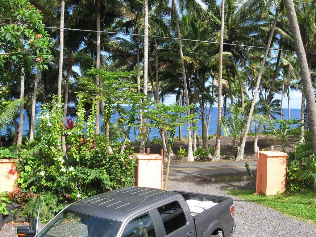 The Dolphin Cottage At Kehena Beach ภายนอก รูปภาพ