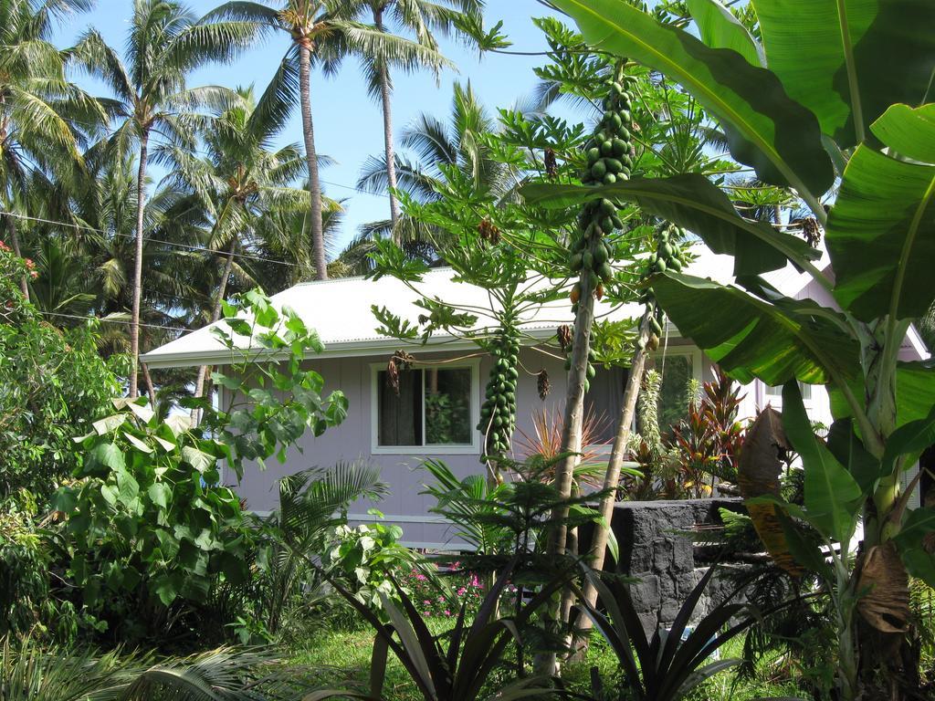 The Dolphin Cottage At Kehena Beach ภายนอก รูปภาพ