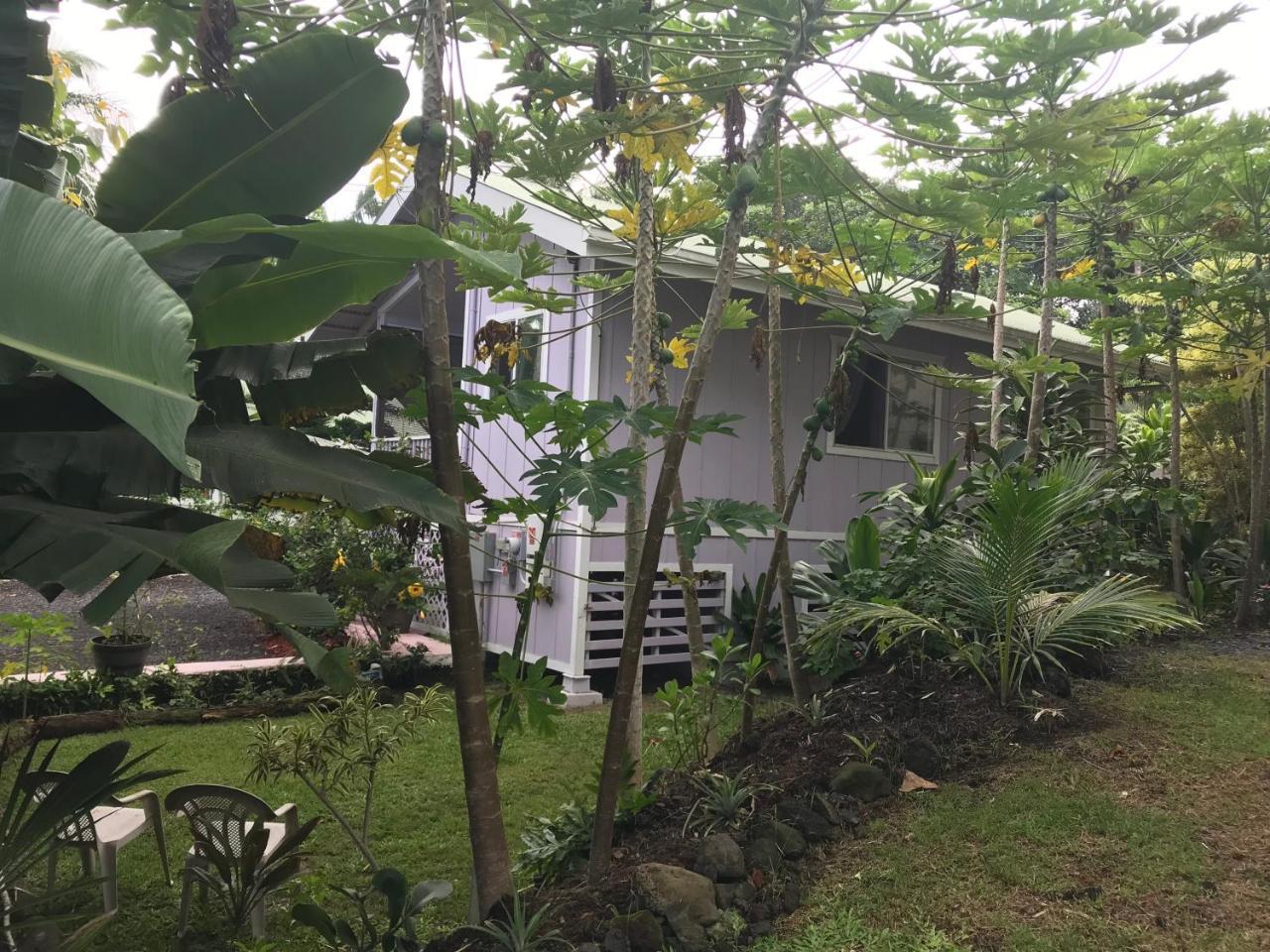 The Dolphin Cottage At Kehena Beach ภายนอก รูปภาพ